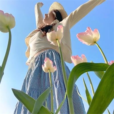 荒野的寿飞行队 完全版